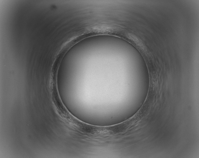 X0000074970583200609081414