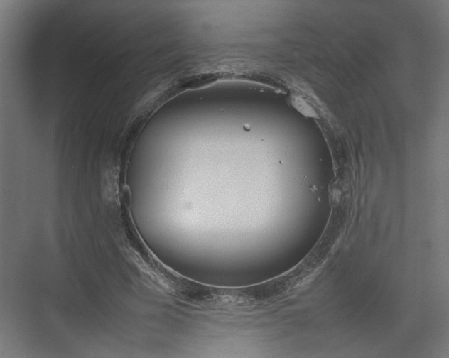 X0000074970585200609081413