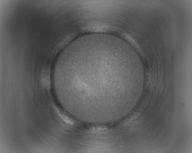 X0000074970586200609081413