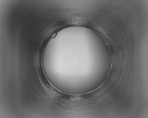 X0000074970587200609081413