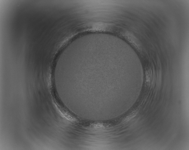 X0000074970588200609081413