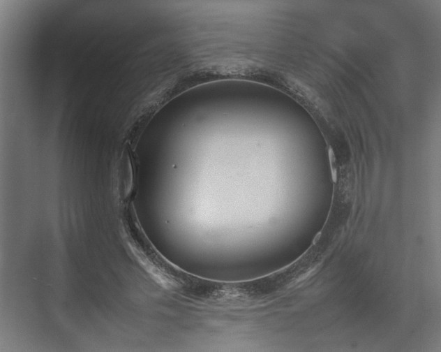 X0000074970589200609081413