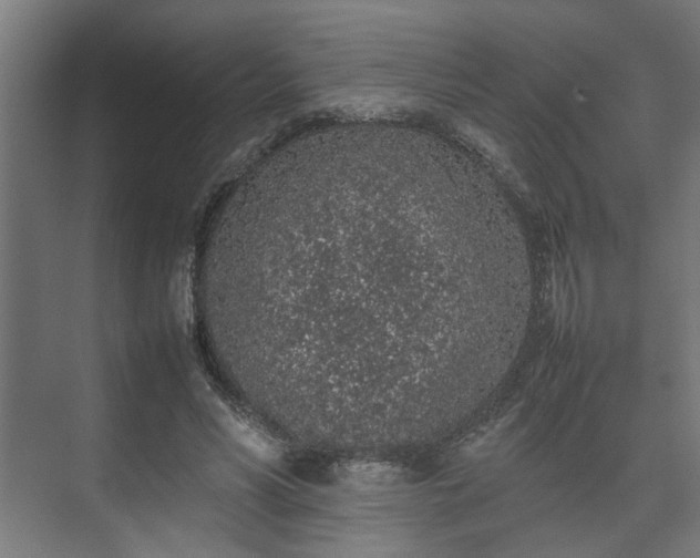 X0000074970590200609081413