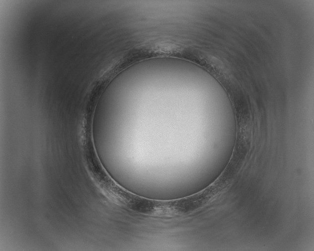 X0000074970591200609081413