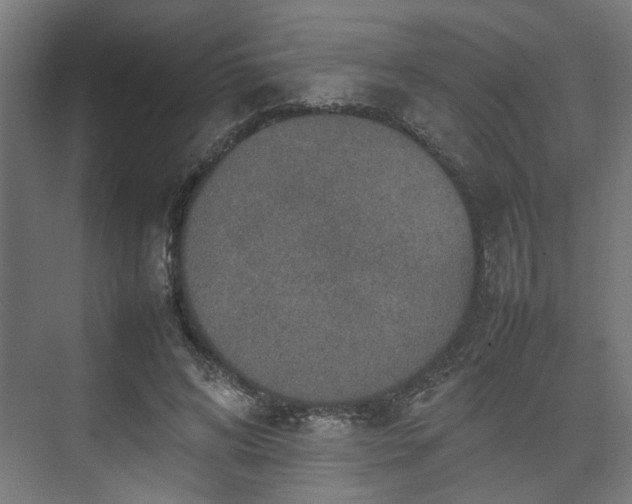 X0000074970592200609081413