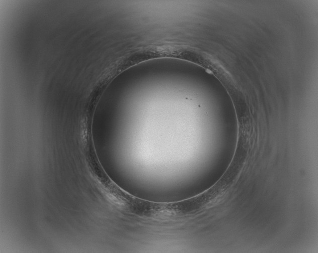 X0000074970593200609081413