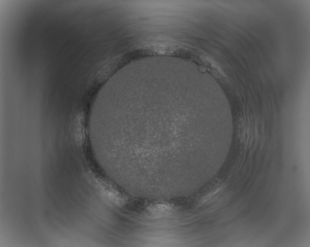 X0000074970594200609081413