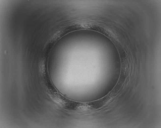 X0000074970595200609081413