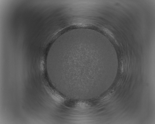 X0000074970596200609081413