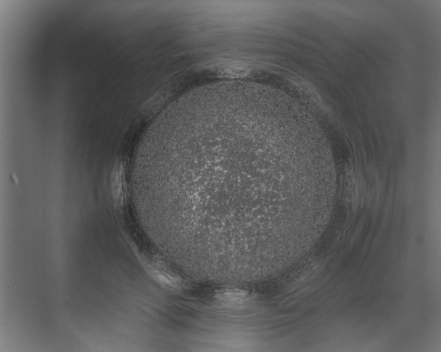 X0000074970598200609081413