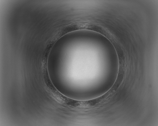 X0000074970601200609081413