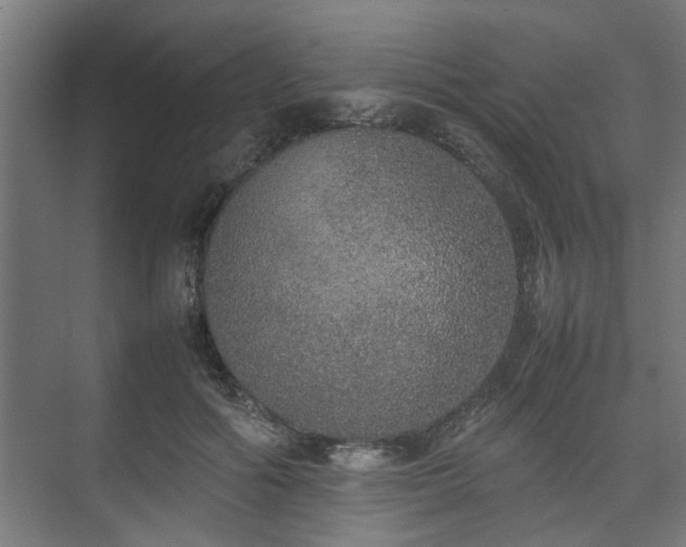 X0000074970602200609081413