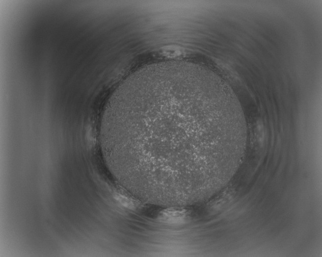 X0000074970606200609081413