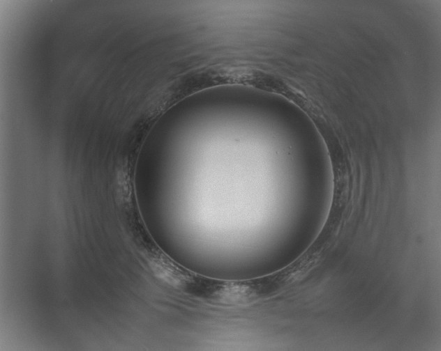 X0000074970609200609081413