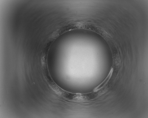 X0000074970611200609081413