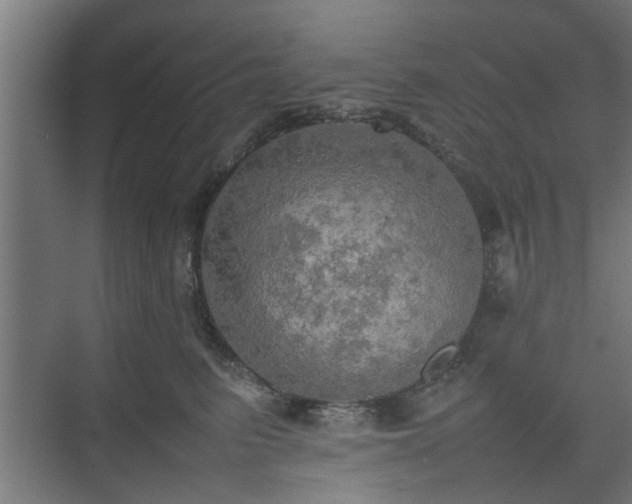 X0000074970615200609081413