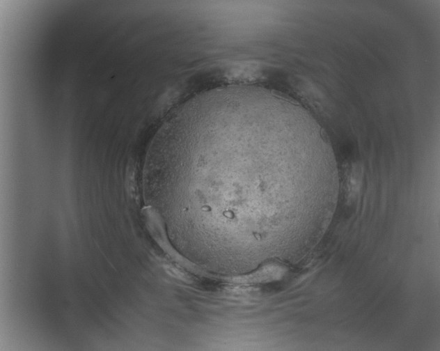 X0000074970619200609081413