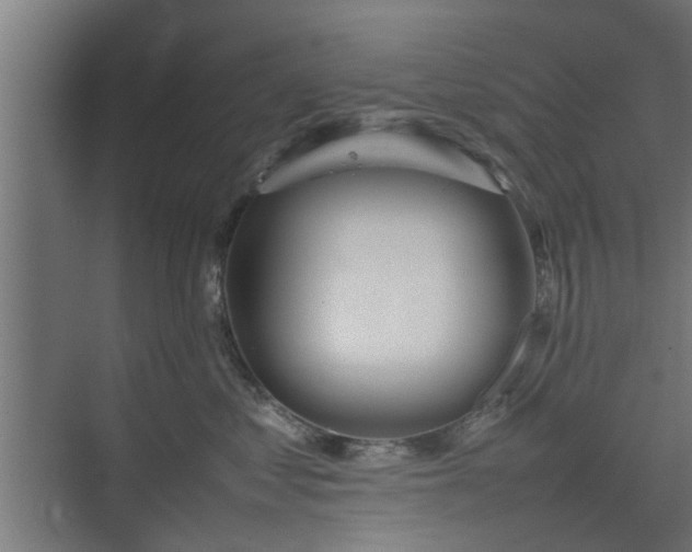 X0000074970621200609081413