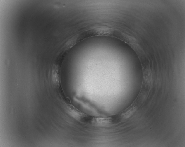 X0000074970622200609081413