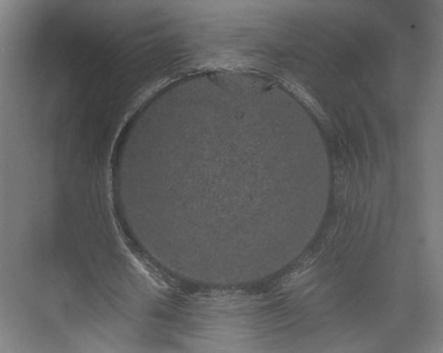 X0000074970626200609081412