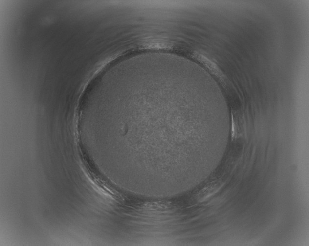 X0000074970627200609081412