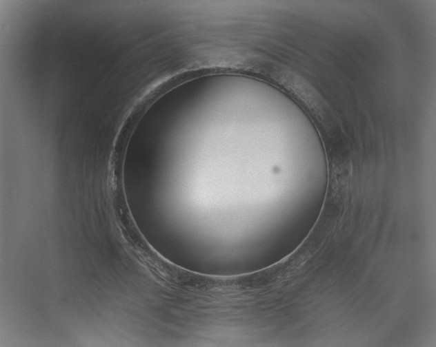 X0000074970628200609081412