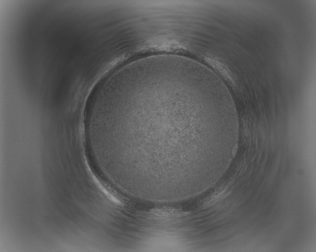 X0000074970630200609081412