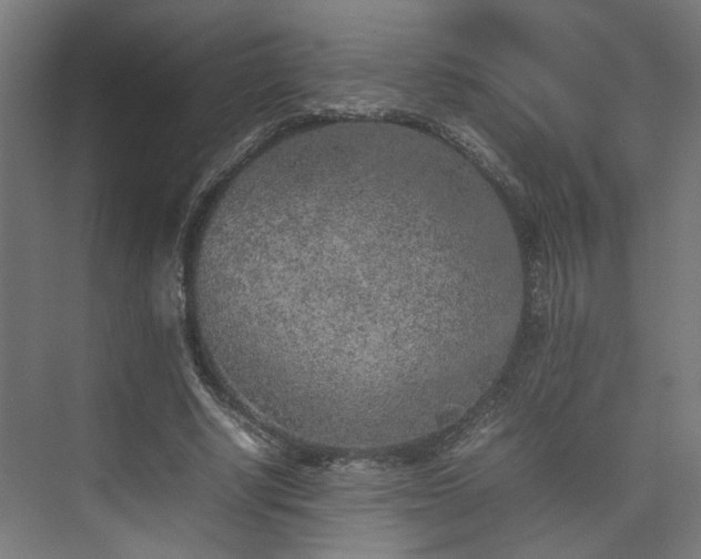 X0000074970634200609081412