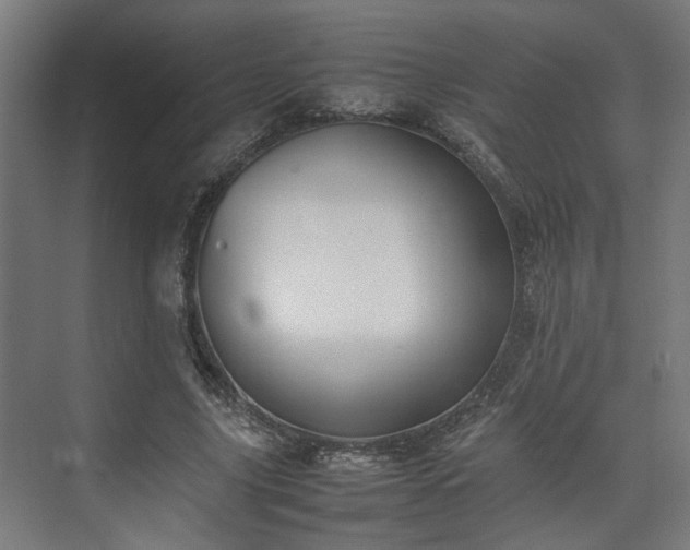 X0000074970635200609081412