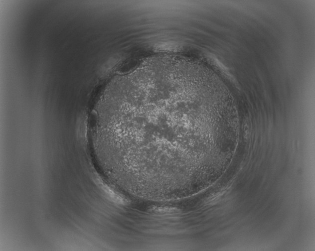 X0000074970637200609081412