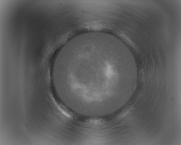 X0000074970638200609081412