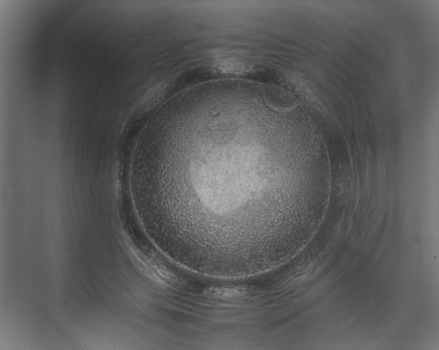 X0000074970639200609081412