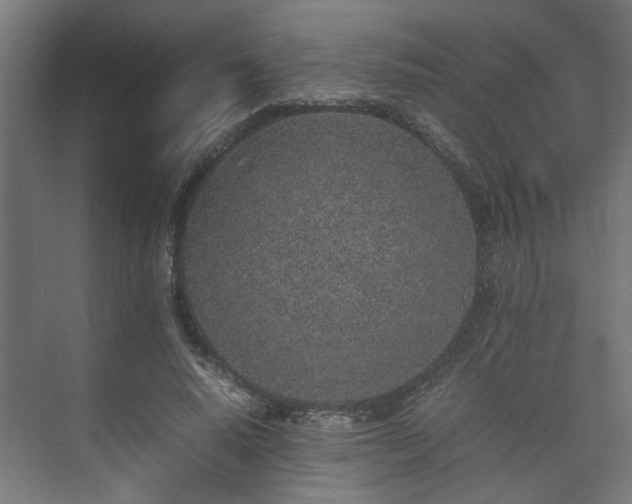 X0000074970640200609081412