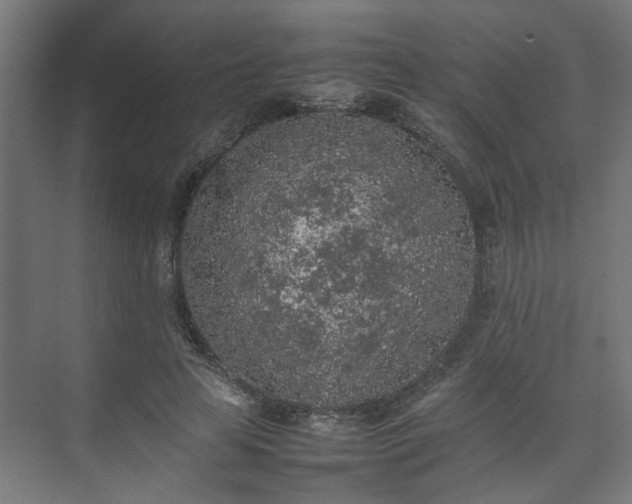 X0000074970641200609081412