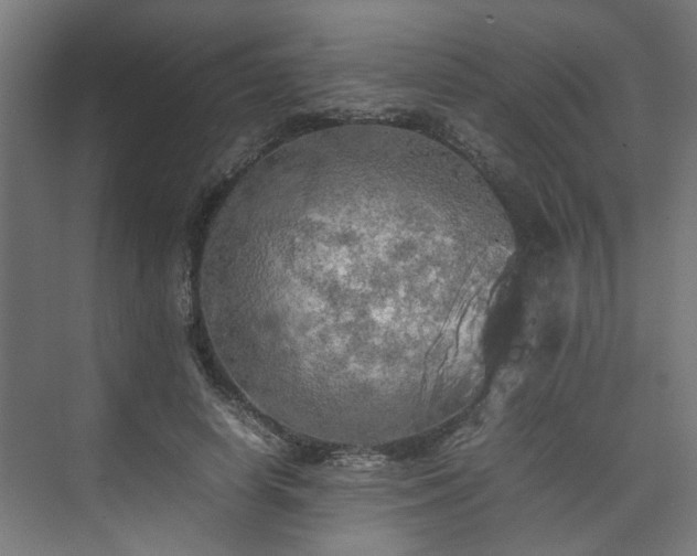 X0000074970642200609081412