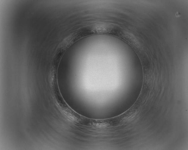 X0000074970645200609081412