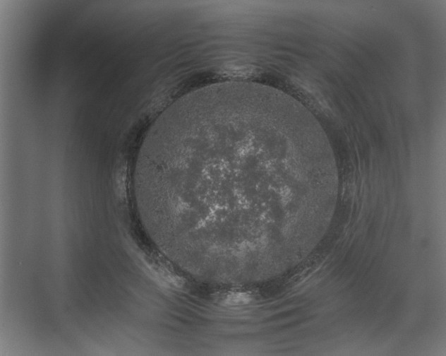 X0000074970647200609081412