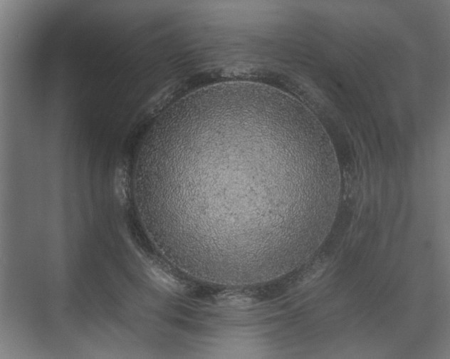 X0000074970648200609081412