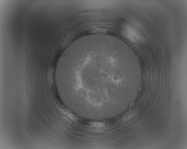 X0000074970649200609081412