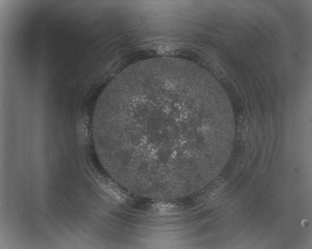 X0000074970650200609081412