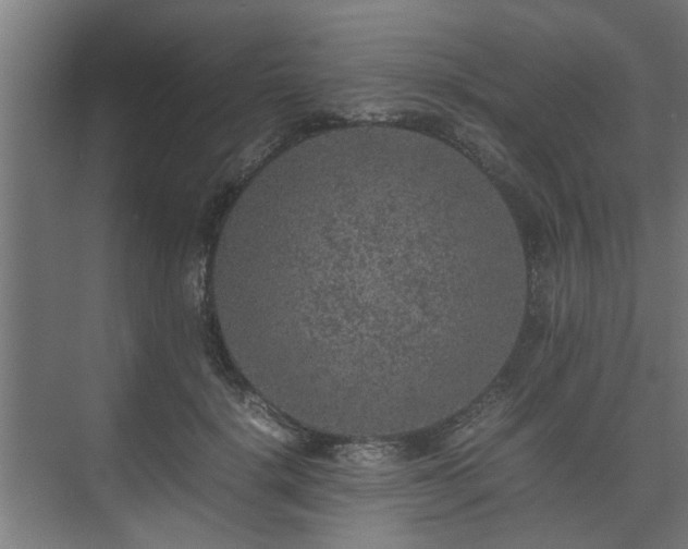 X0000074970652200609081412