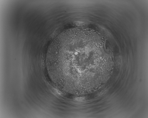 X0000074970653200609081412