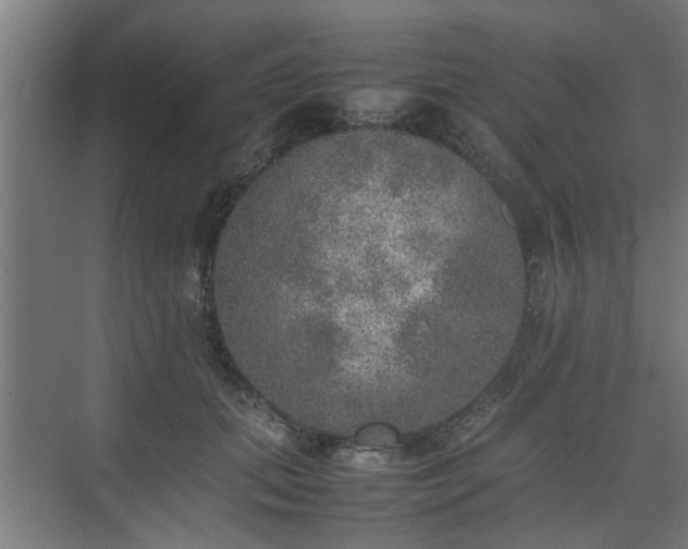 X0000074970655200609081413