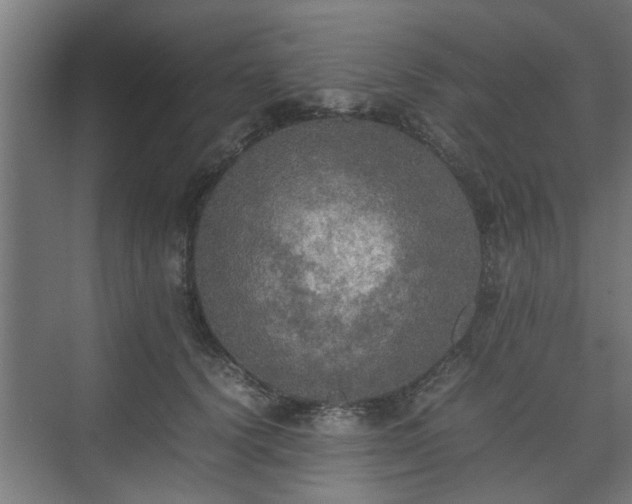 X0000074970656200609081413