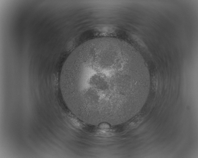 X0000074970657200609081413