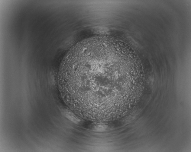 X0000074970658200609081413