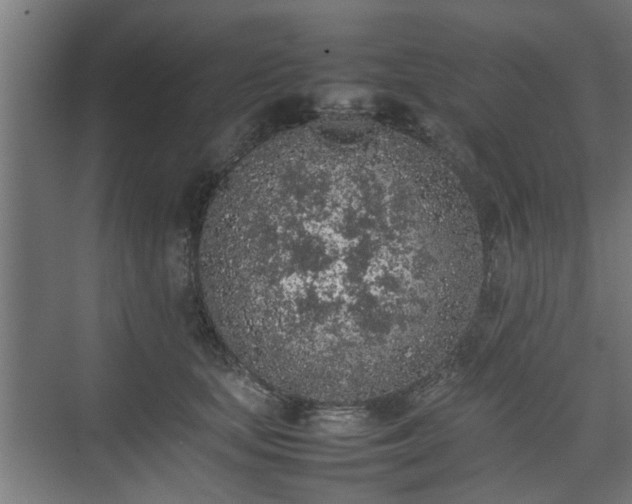 X0000074970659200609081413