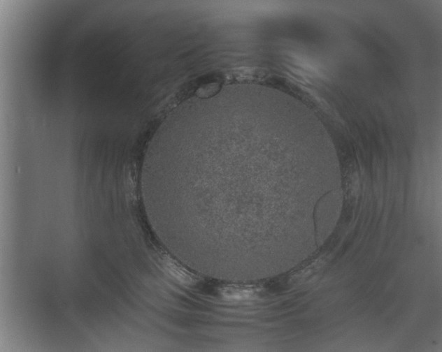 X0000074970661200609081413