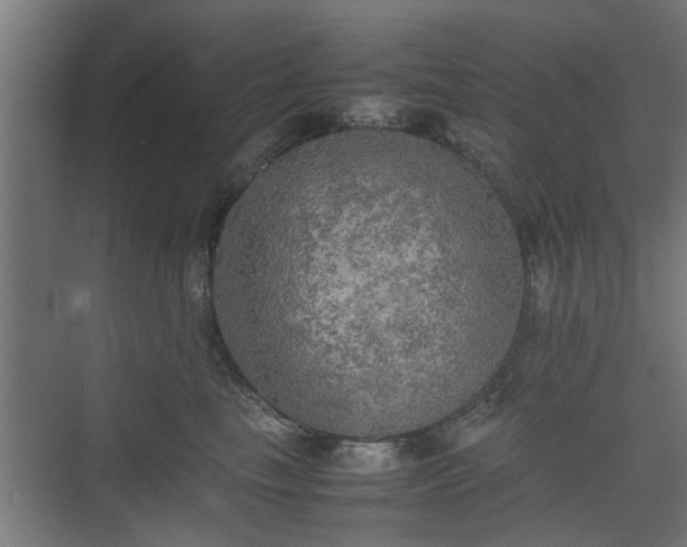 X0000074970665200609081413