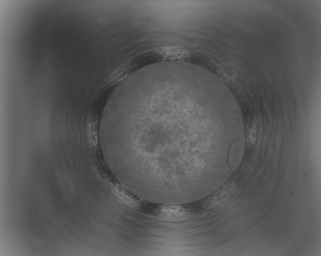 X0000074970666200609081413